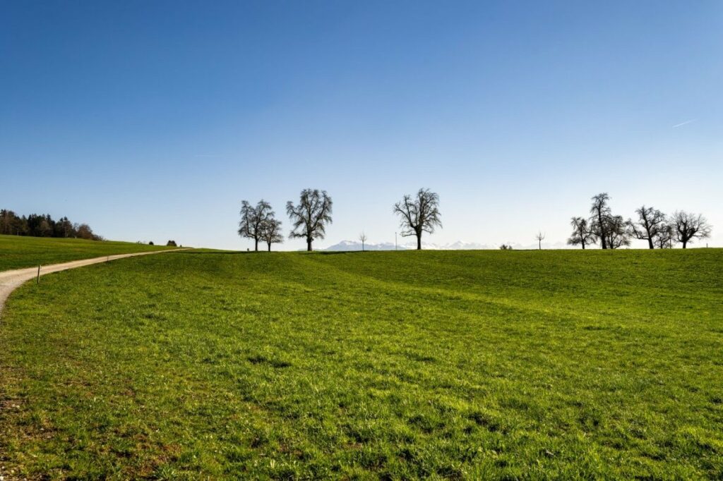 Landschaft - 9
